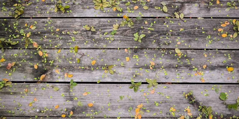 人工智能伦理视野下的生物特征永久风险：指纹、虹膜与DNA数据库的安全挑战