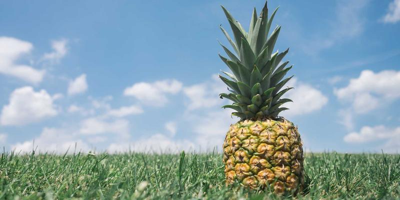 人工智能武器化：大数据伦理与科技伦理研究下的自主杀人机器禁令探索