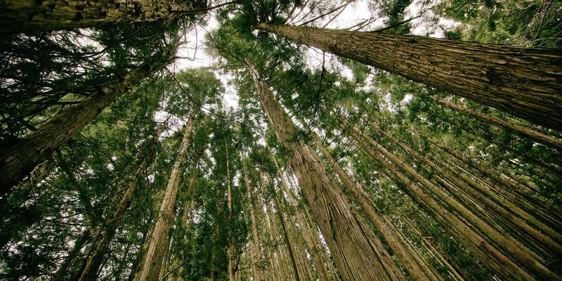 生物识别技术的伦理边界：从人脸支付到步态识别中的隐私与同意困境