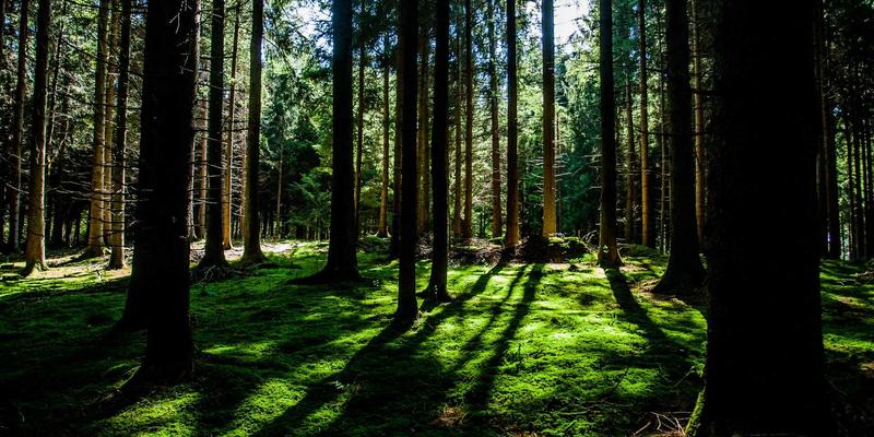 科技伦理100：在生物、AI与社会责任的十字路口构建未来