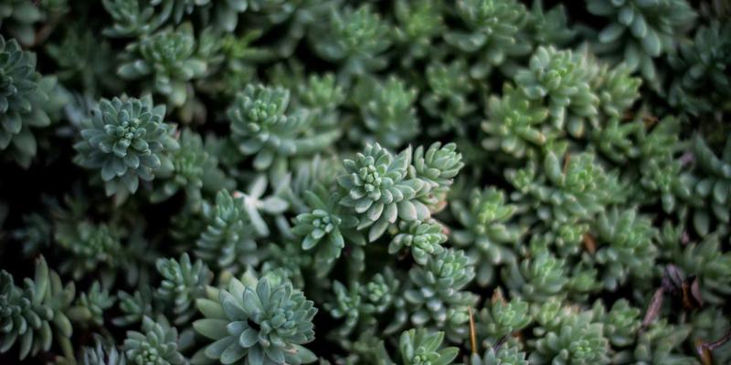 科技伦理3.0时代：大数据伦理如何重塑伦理研究新范式