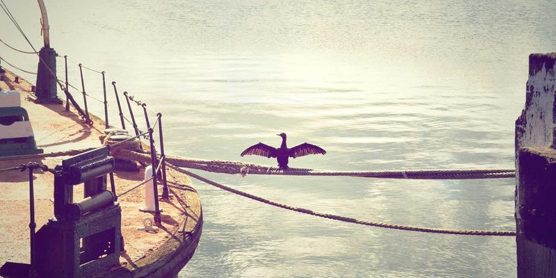 科技伦理与生物伦理视角下的职场监控：员工隐私的边界与企业的社会责任