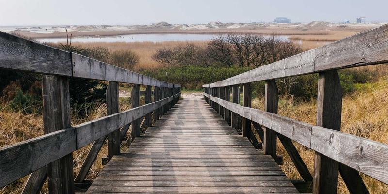 科技伦理前景：在创新浪潮中锚定社会责任与技术伦理