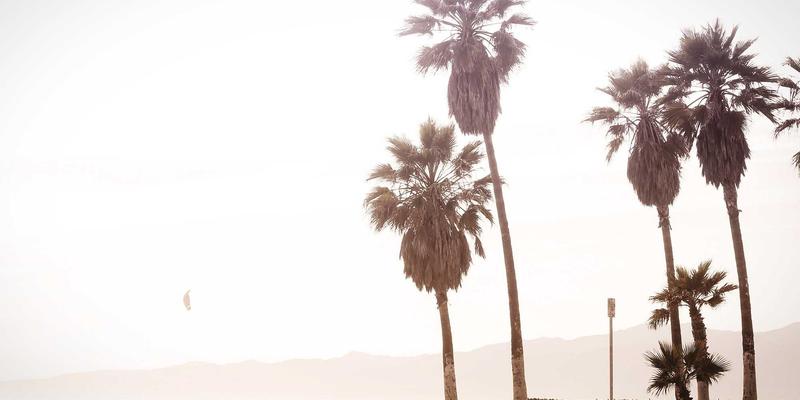 科技伦理:在创新浪潮中锚定社会责任与人文价值