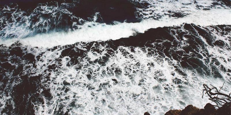 科技伦理：在生物技术与人工智能的十字路口，社会责任何去何从？