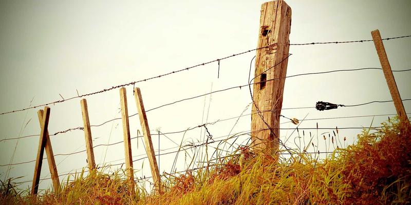 科技伦理：大数据与生物技术时代的社会责任与道德边界