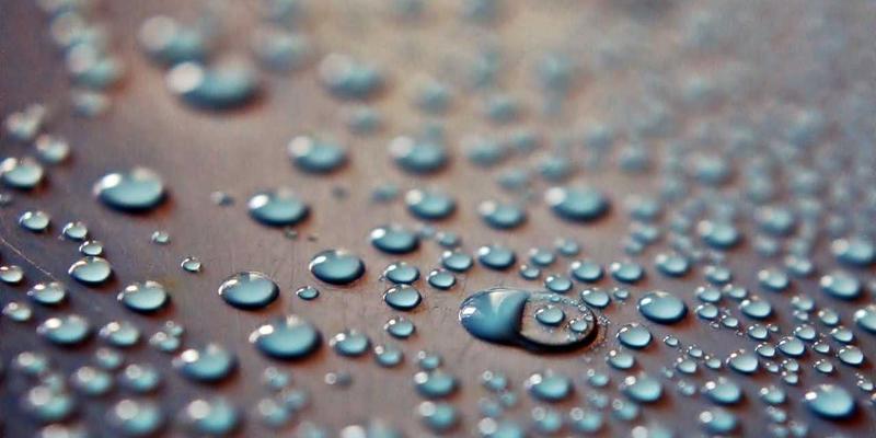 科技伦理应用：在生物技术与大数据浪潮中锚定价值航向