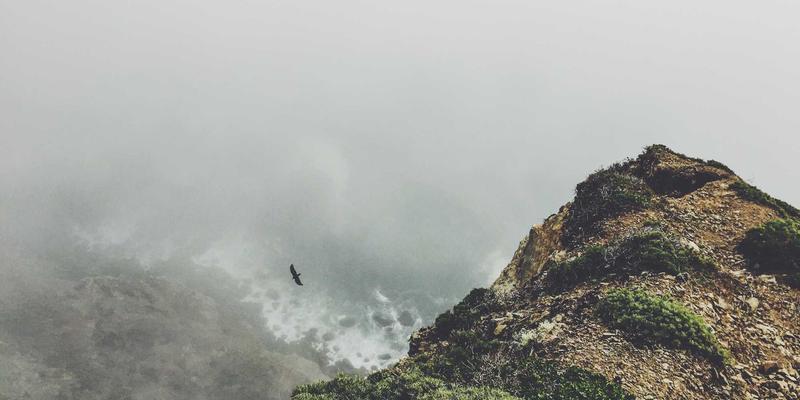 科技伦理案例分析：当技术狂奔时，如何守住伦理的缰绳？