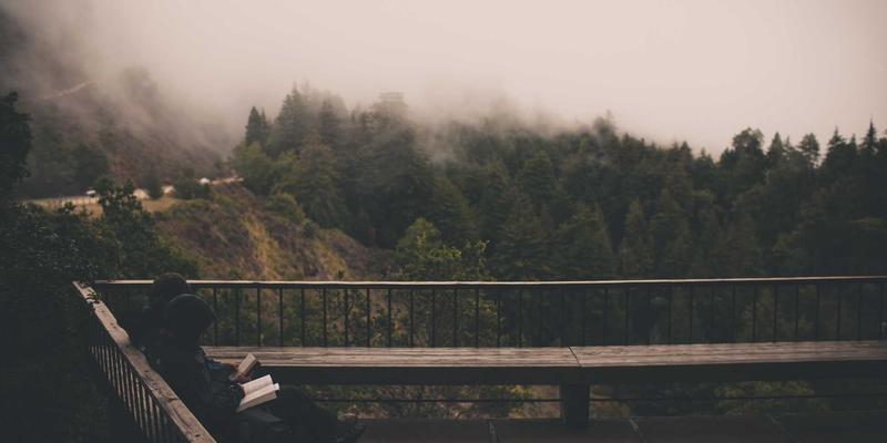 算法偏见与信贷公平：金融科技中的技术伦理与社会责任治理