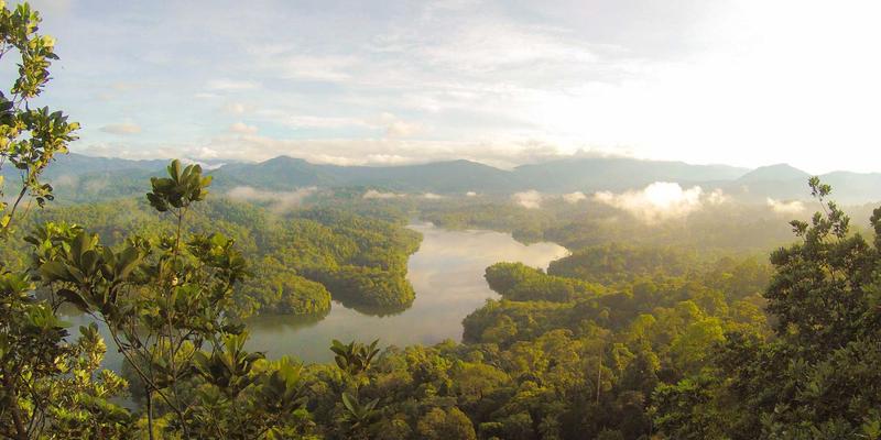 算法黑箱与隐形剥削：人工智能伦理视角下的零工经济劳工困境
